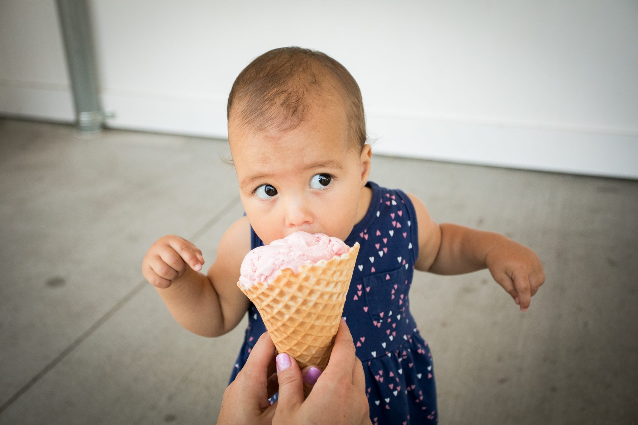 Summer Photography Session Baby First Birthday Photos